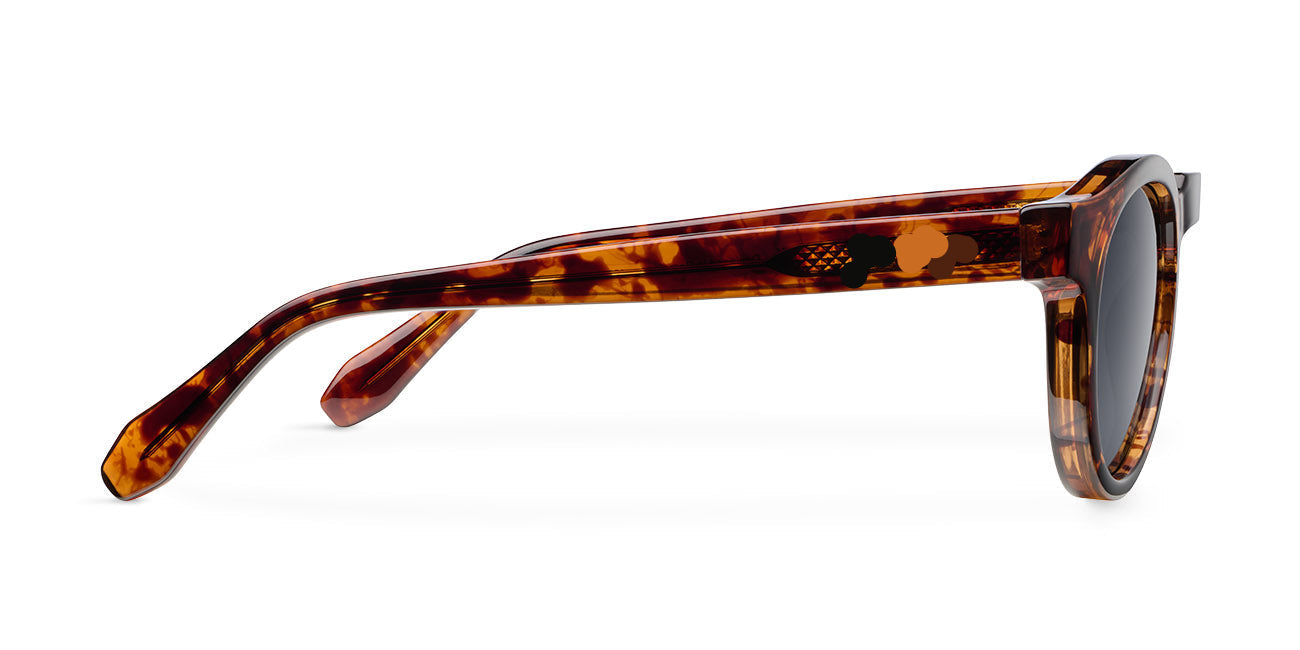 Dato Tigris Carbon