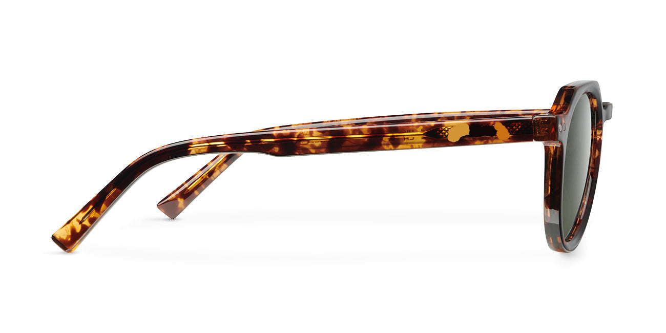 Achaxen Tigris Olive