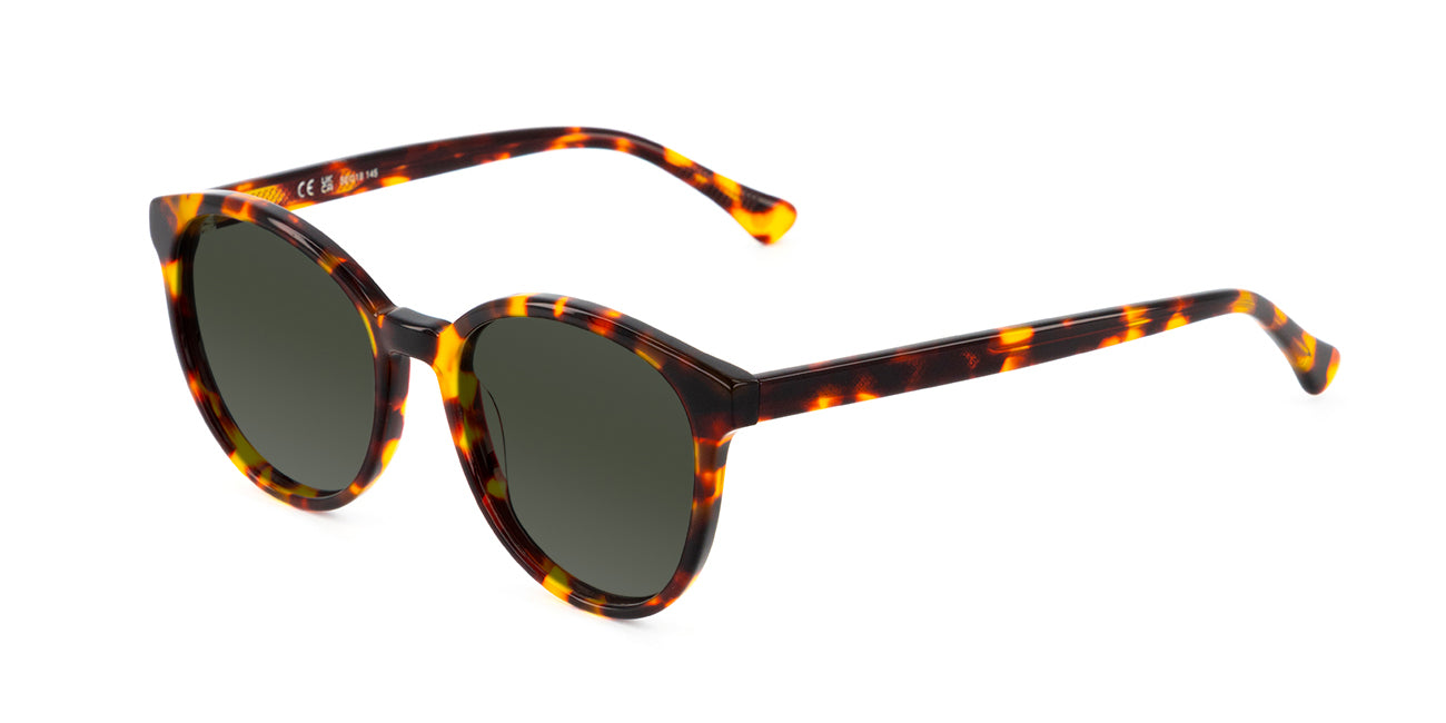 Anna Havana Olive