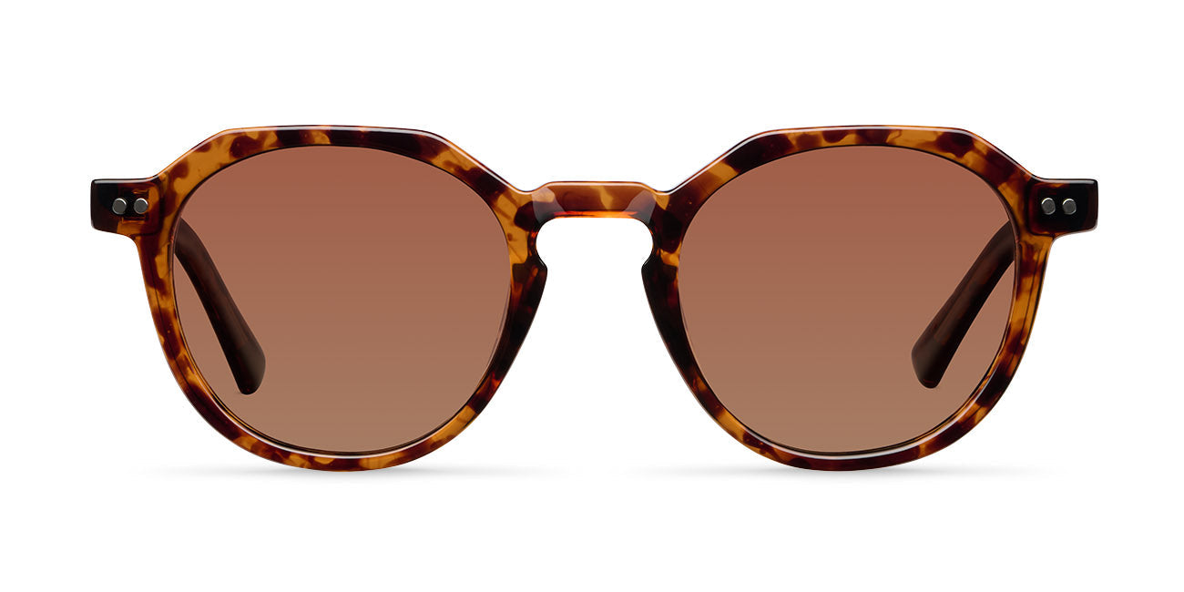 Chaven Tigris Brown
