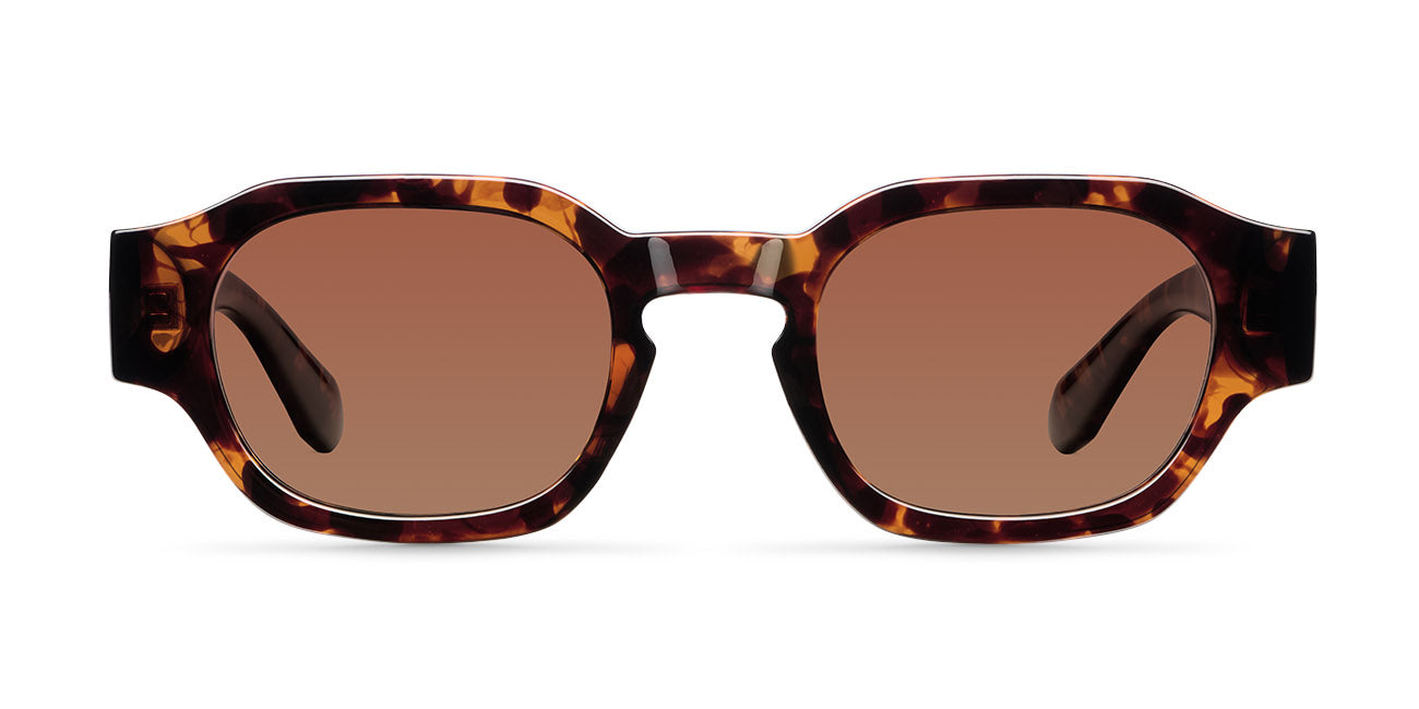 Chinuka Tigris Brown