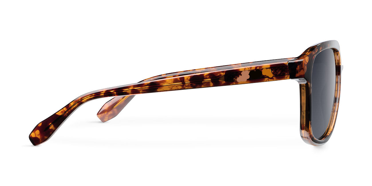 Daka Tigris Carbon