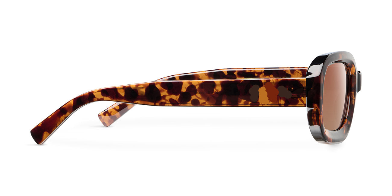 Dahli Tigris Brown
