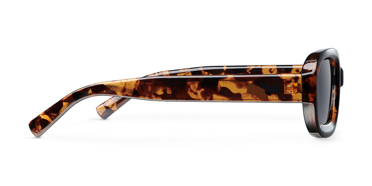 Dahli Tigris Carbon
