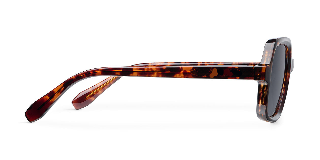 Nemo Tigris Carbon
